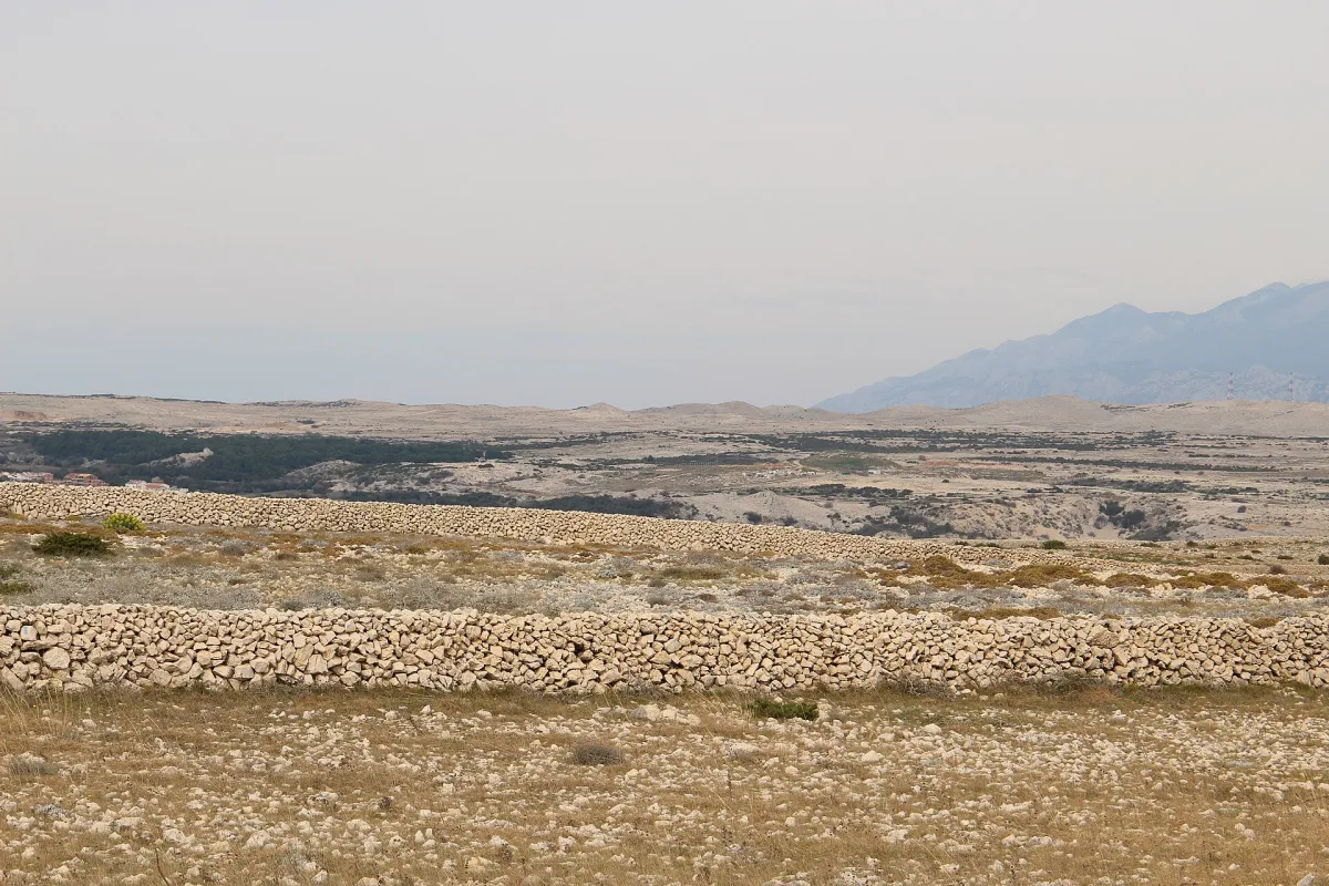 Dry stone walls running across the bare landscape of Pag